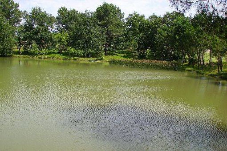 Location de vacances - Gîte à Bergerac