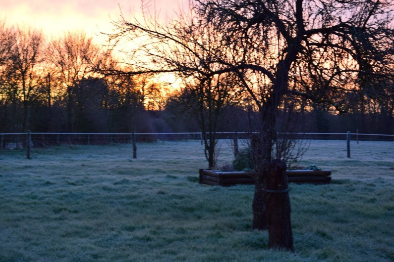 Location de vacances - Gîte à Montourtier
