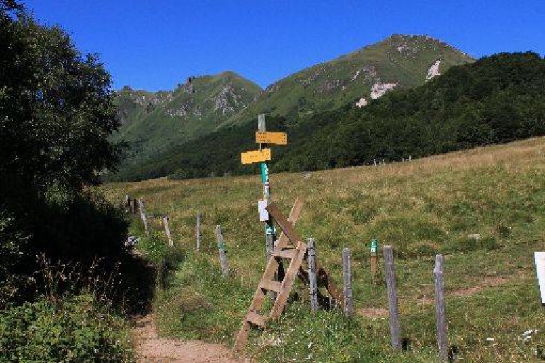Location de vacances - Gîte à La Tour-d'Auvergne