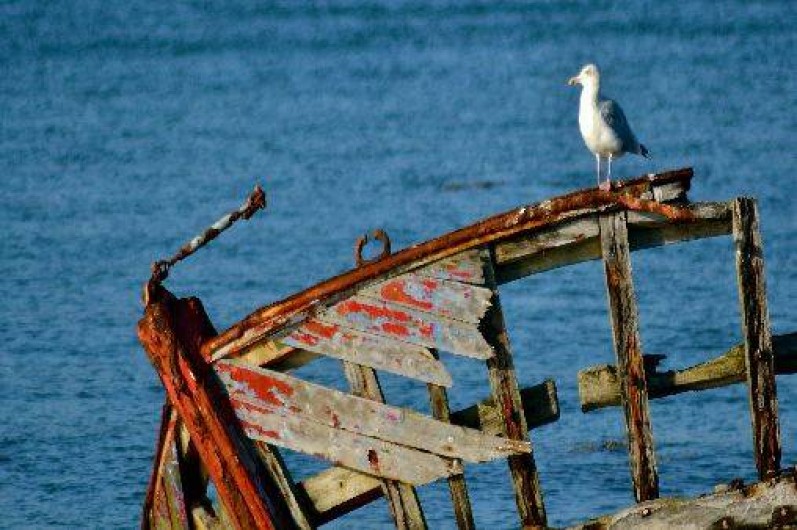Location de vacances - Villa à Saint-Philibert
