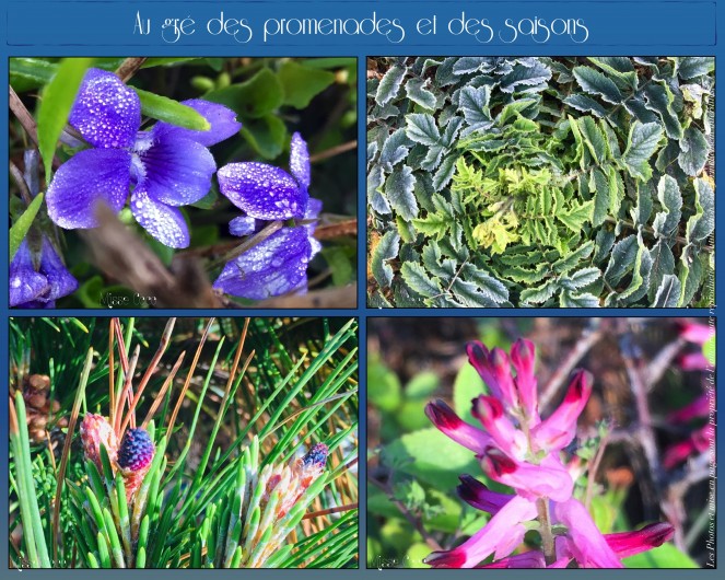 Location de vacances - Villa à Saint-Philibert