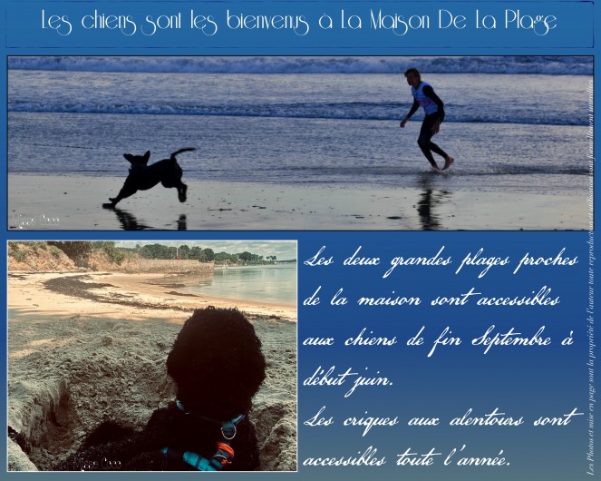 Location de vacances - Villa à Saint-Philibert