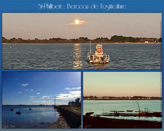 Location de vacances - Villa à Saint-Philibert