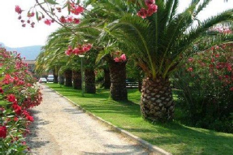 Location de vacances - Villa à Oletta