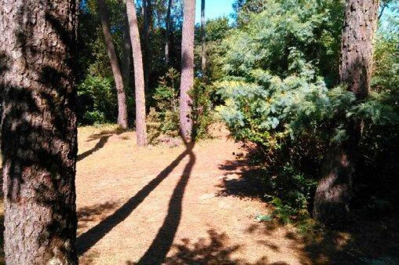 Location de vacances - Maison - Villa à Jard-sur-Mer