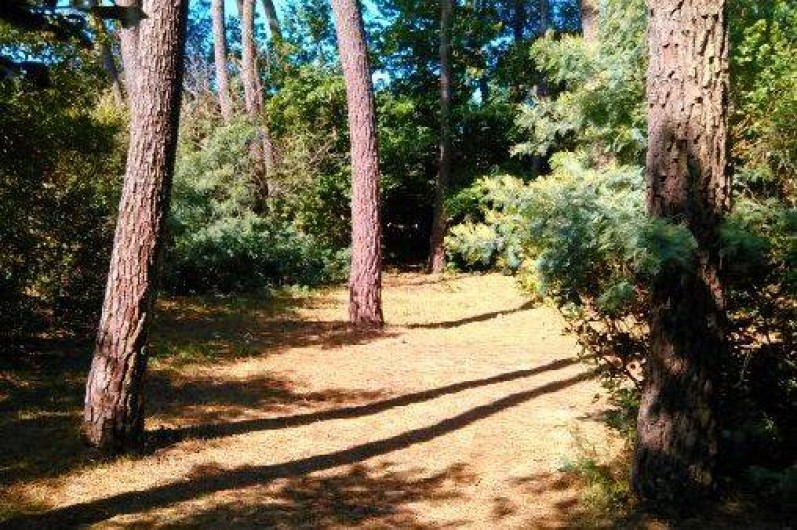 Location de vacances - Maison - Villa à Jard-sur-Mer