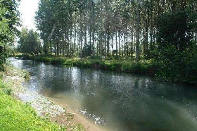 Location de vacances - Gîte à Berck - La rivière "l'Authie" et notre peupleraie.