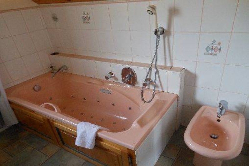 Location de vacances - Chalet à Vallouise