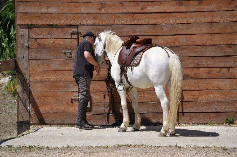Location de vacances - Mas à Cavaillon