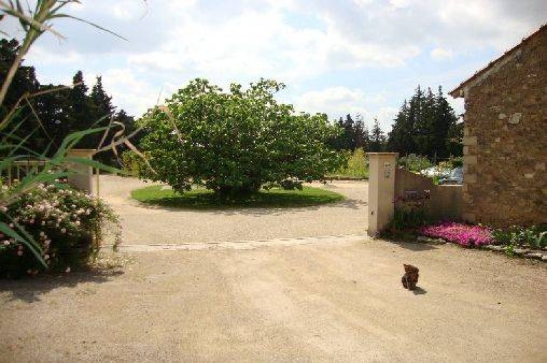 Location de vacances - Mas à Cavaillon