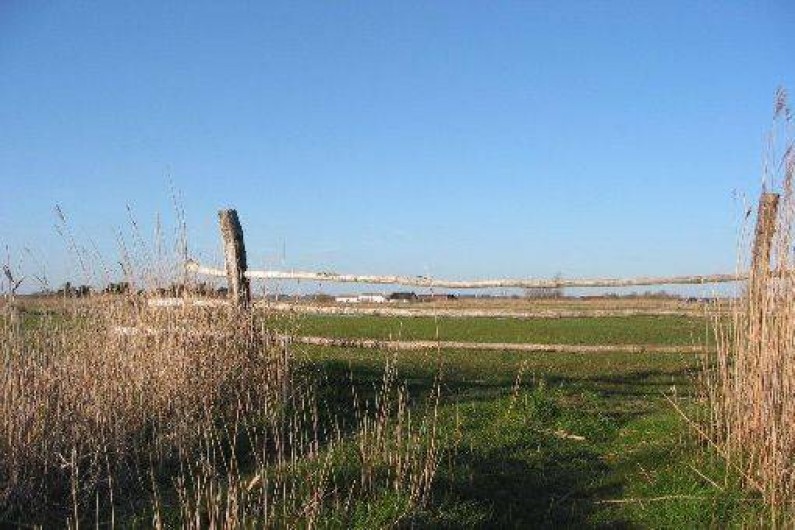 Location de vacances - Gîte à Machecoul