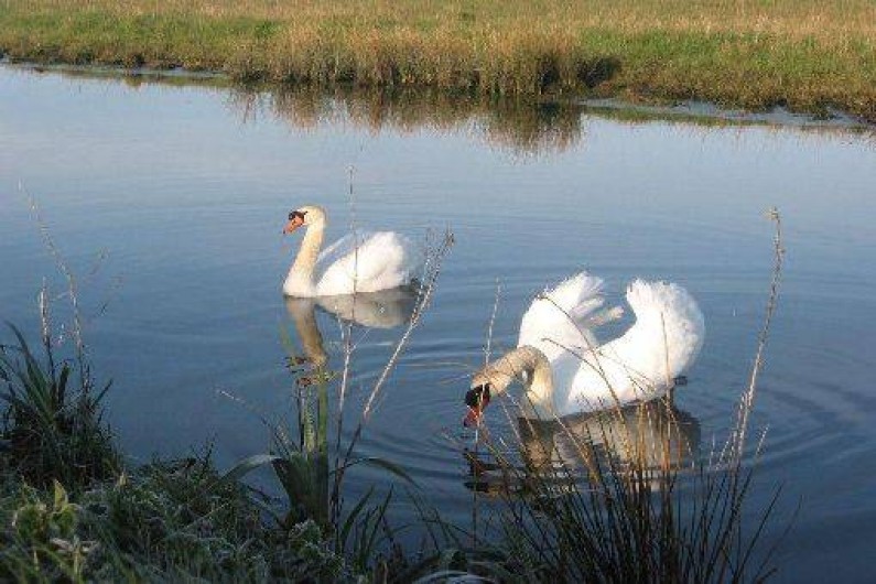 Location de vacances - Gîte à Machecoul