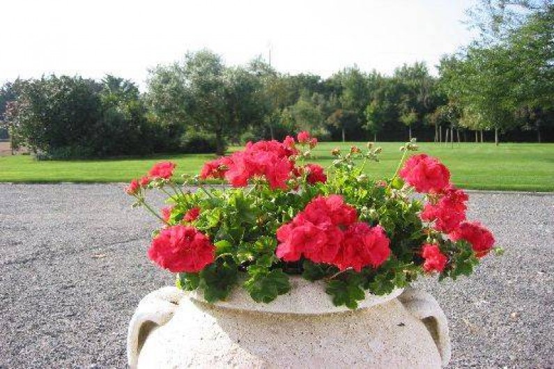 Location de vacances - Gîte à Machecoul