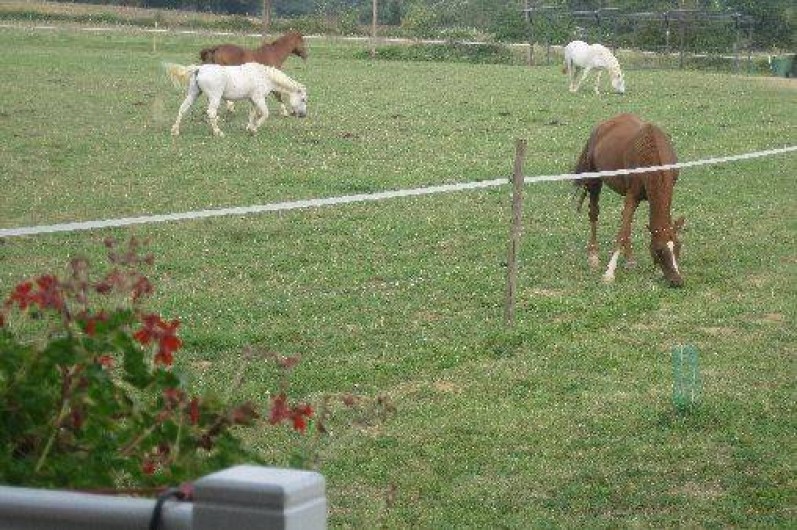 Location de vacances - Roulotte à L'Isle-Jourdain