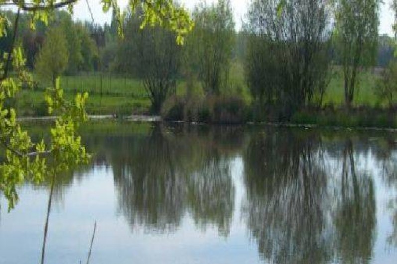 Location de vacances - Gîte à Cour-Cheverny