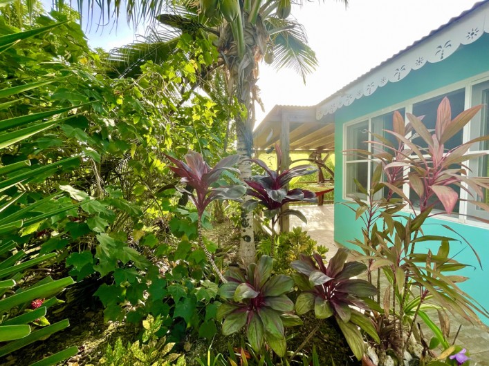 Location de vacances - Chambre d'hôtes à Le Gosier - Terrasse privée de la chambre XXL de 50m2