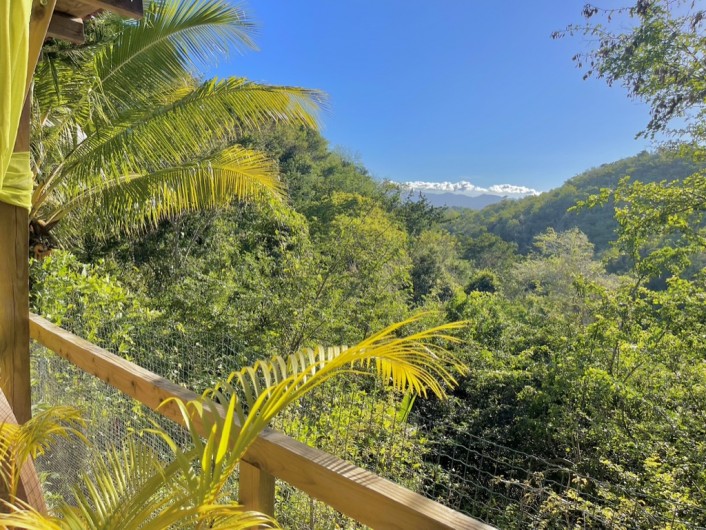 Location de vacances - Chambre d'hôtes à Le Gosier - Terrasse privée de la chambre XXL de 50m2 sans vis à vis