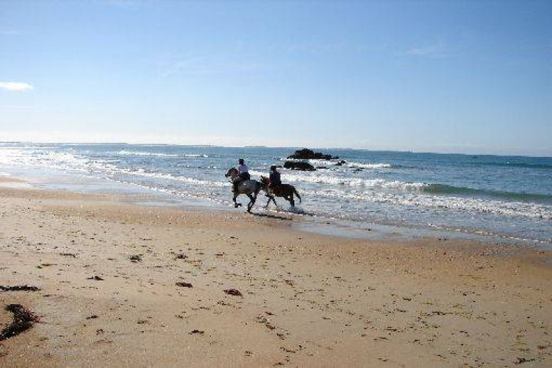 Location de vacances - Villa à Erdeven