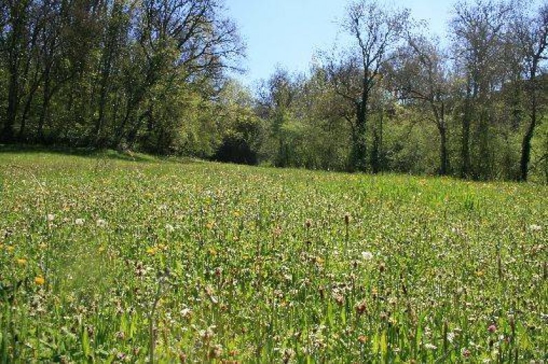Location de vacances - Gîte à Brassac