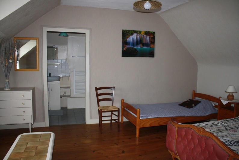 Location de vacances - Gîte à Chinon