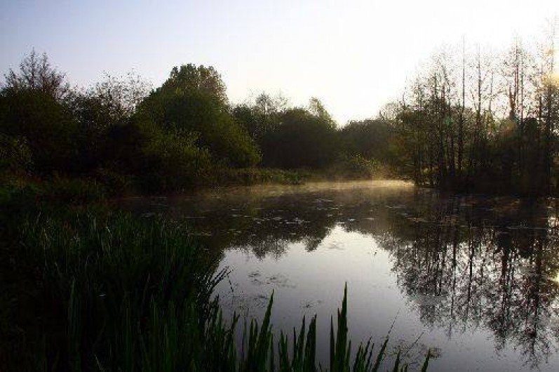 Location de vacances - Gîte à Saint-Quay-Perros