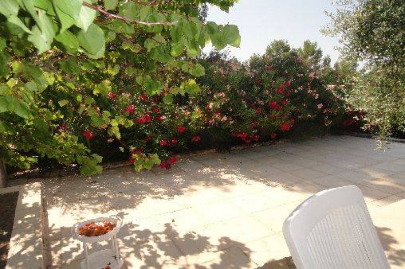 Location de vacances - Maison - Villa à Flayosc