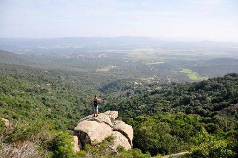 Location de vacances - Villa à Figari