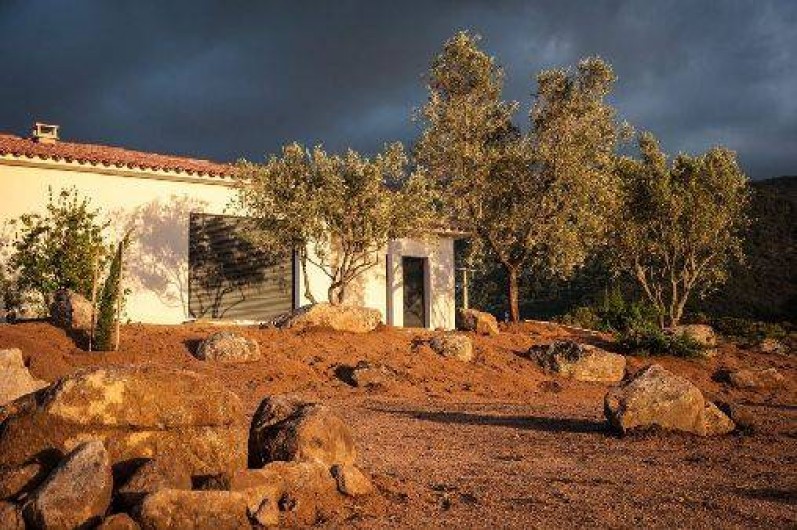 Location de vacances - Villa à Figari