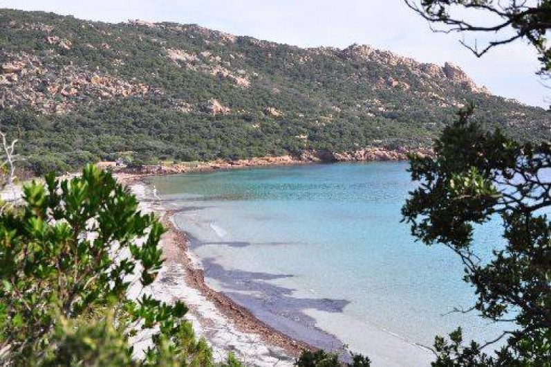 Location de vacances - Villa à Figari