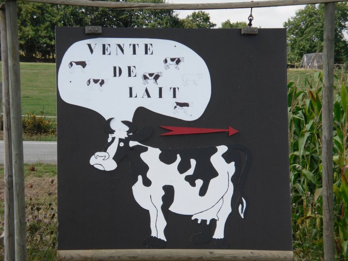 Location de vacances - Gîte à Baden