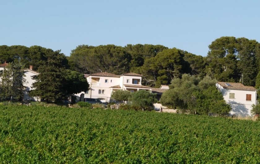 Location de vacances - Villa à Montagnac