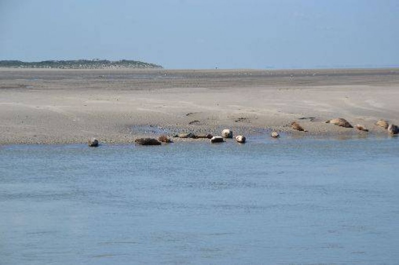 Location de vacances - Appartement à Berck