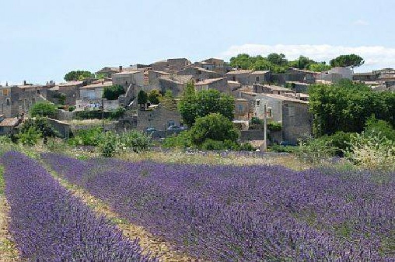 Location de vacances - Maison - Villa à Céreste