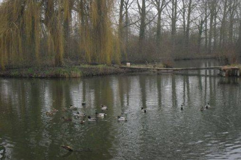 Location de vacances - Chalet à Saint-Christ-Briost