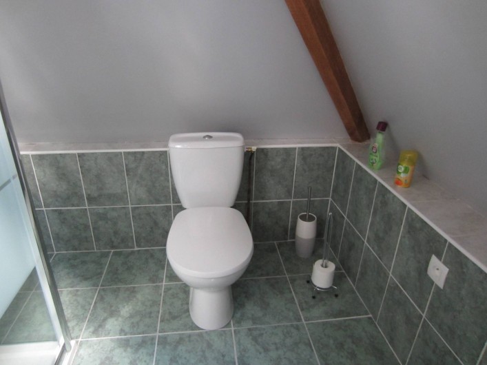Location de vacances - Appartement à La Rivière-Saint-Sauveur - salle  de douche comprenant  wc  lavabo douche  5 m2