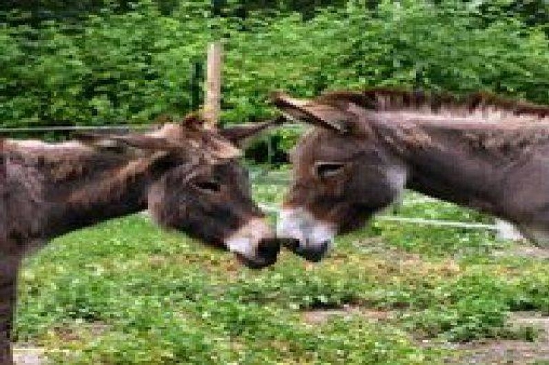 Location de vacances - Chambre d'hôtes à Romilly-sur-Andelle
