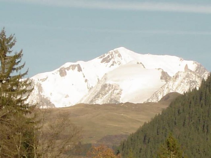 Location de vacances - Appartement à Hauteluce - Vu du mont blanc