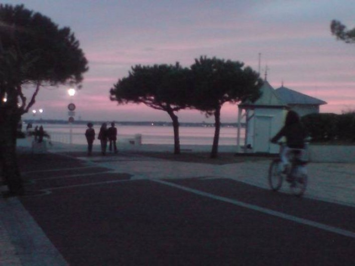 Location de vacances - Appartement à Arcachon