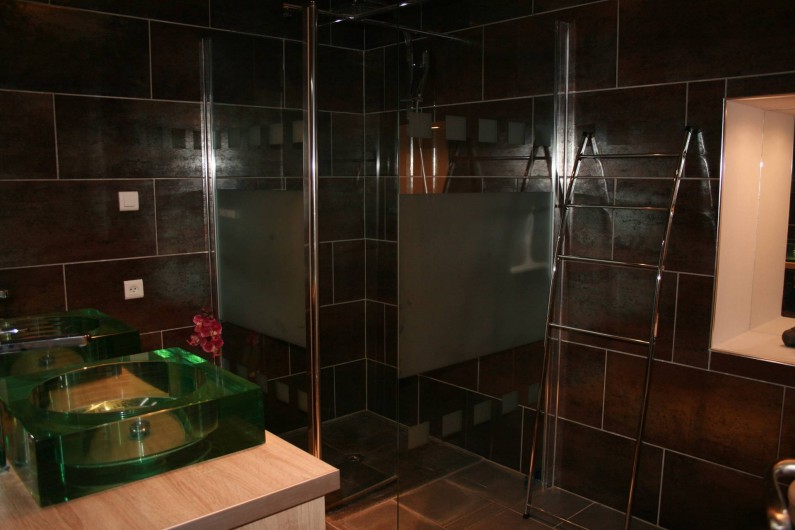 Location de vacances - Mas à Lagorce - sdb rez de chaussée