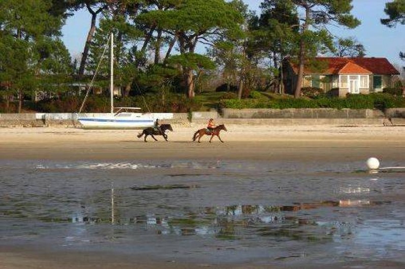 Location de vacances - Villa à Lanton