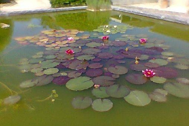 Location de vacances - Maison - Villa à Saint-Rémy-de-Provence