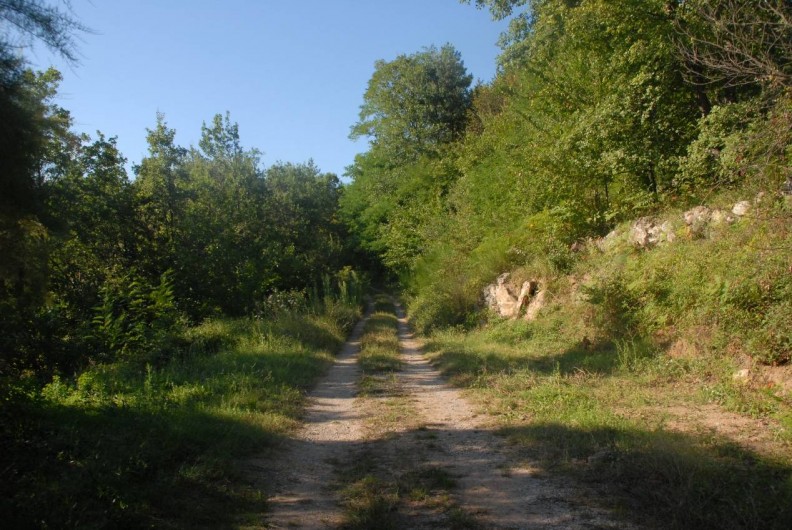 Location de vacances - Maison - Villa à Vinezac - Chemin d'acces