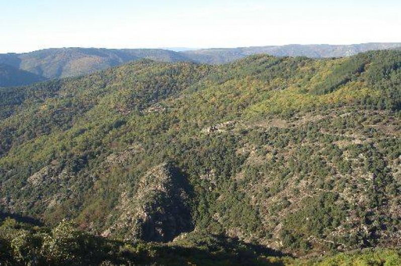 Location de vacances - Gîte à Saint-Mélany