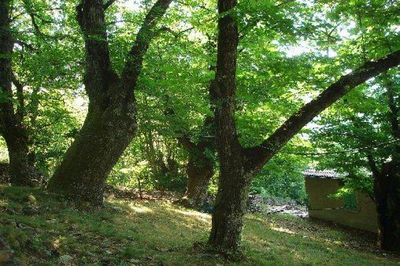 Location de vacances - Gîte à Saint-Mélany