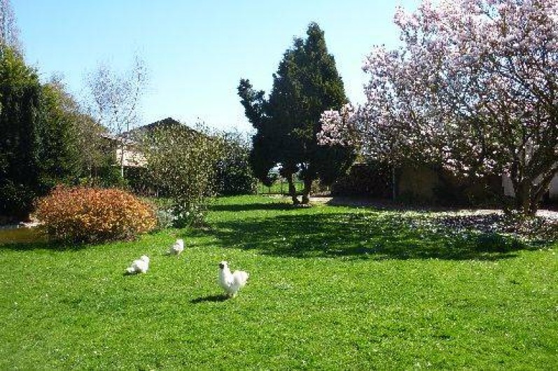 Location de vacances - Chambre d'hôtes à Le Plessis-Grohan - PARC JARDIN CLOS Parkings
