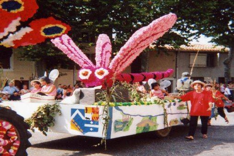 Location de vacances - Gîte à Salles-sur-l'Hers