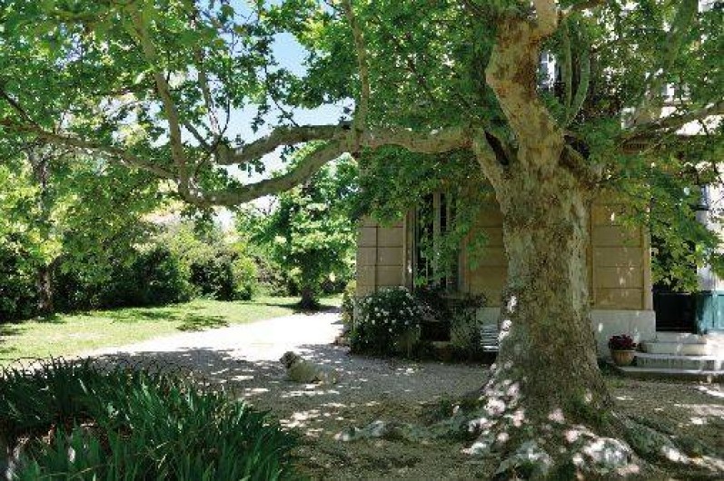 Location de vacances - Maison - Villa à Marseille