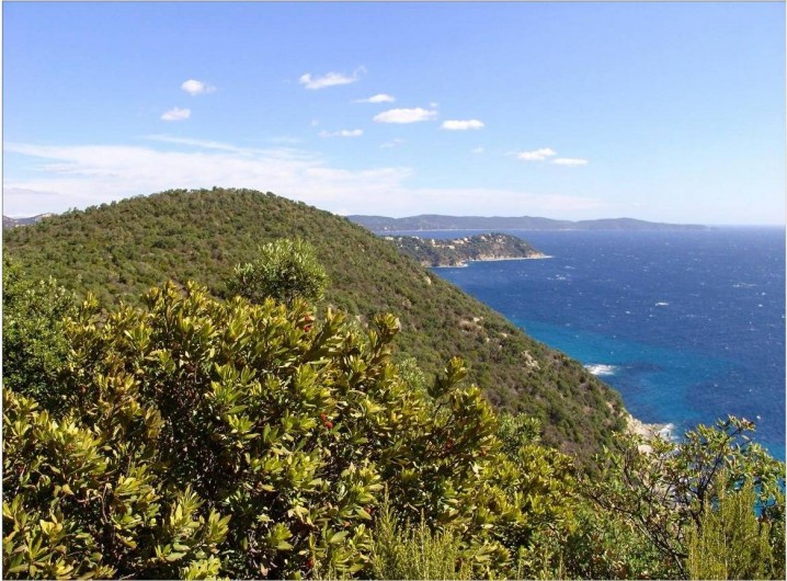 Location de vacances - Studio à Cavalaire-sur-Mer - Cavalaire sur Mer