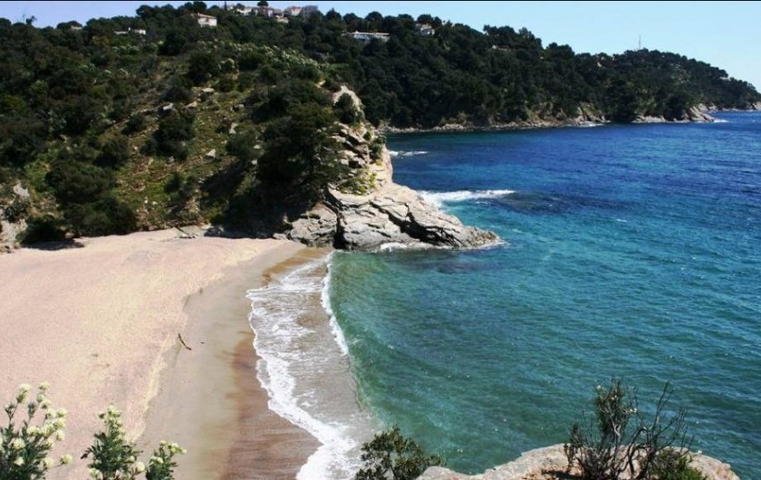 Location de vacances - Studio à Cavalaire-sur-Mer - Cavalaire sur Mer