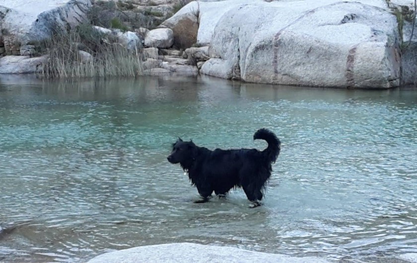 Location de vacances - Villa à Porto-Vecchio